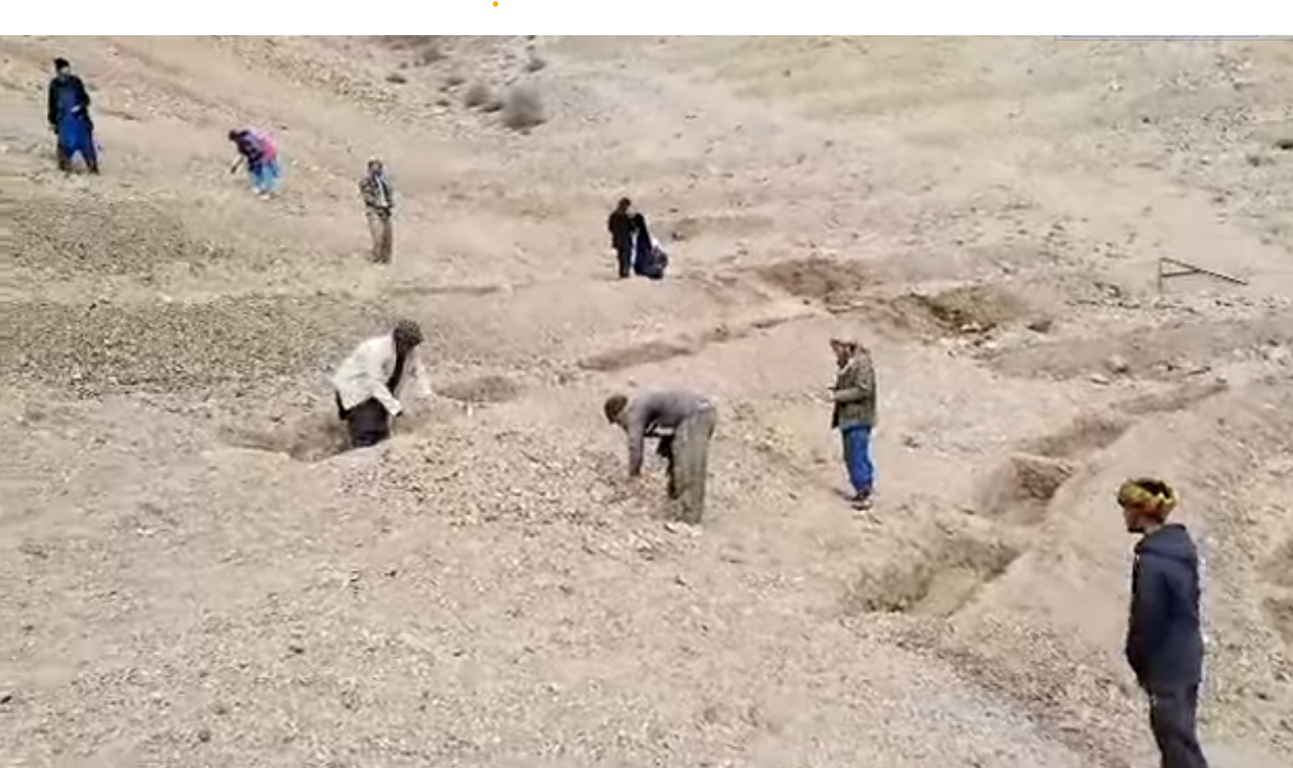 Nimadak village, Yakawlang District, Bamyan Province — local residents are planting mountain tree seedlings.